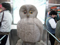 池ふくろう