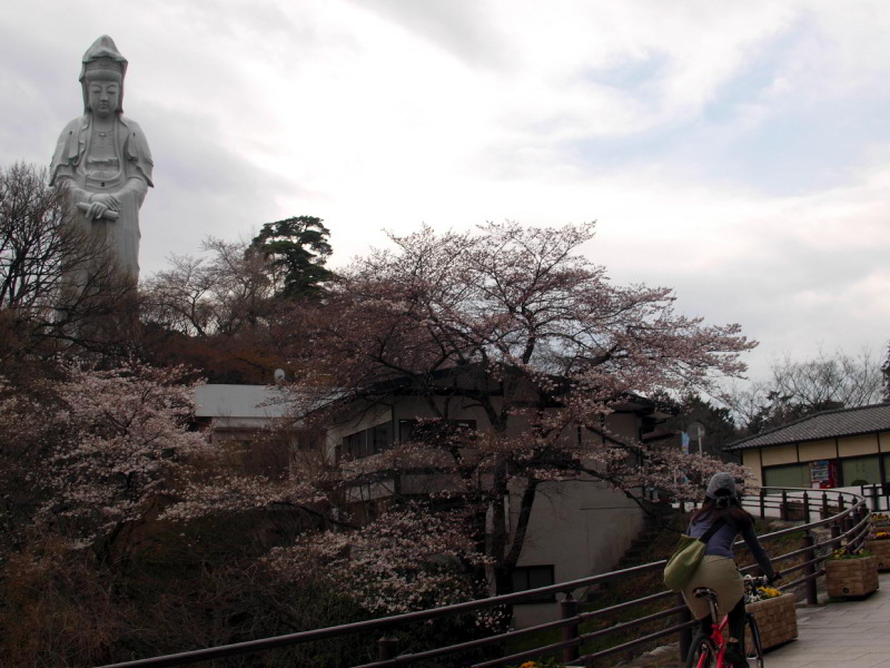 P4086455.JPG