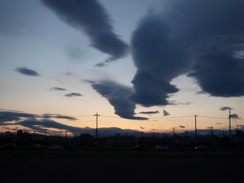 P4086484.JPG